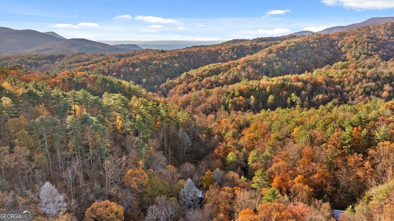 180 Cohutta Forest Road Ellijay - Photo 46