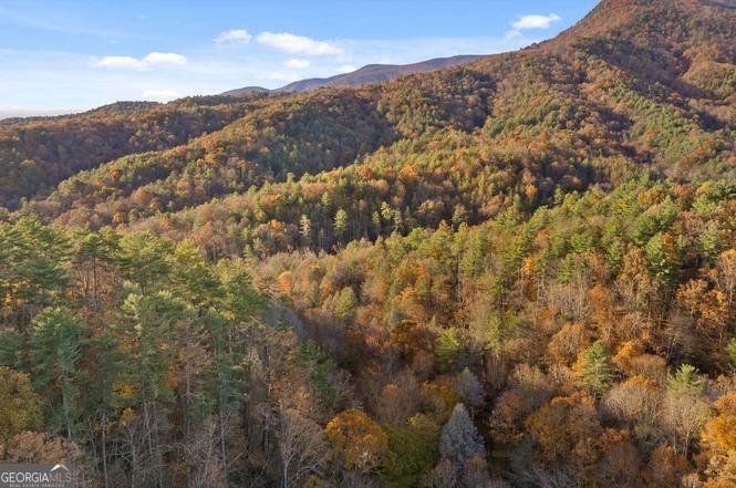 180 Cohutta Forest Road Ellijay - Photo 47