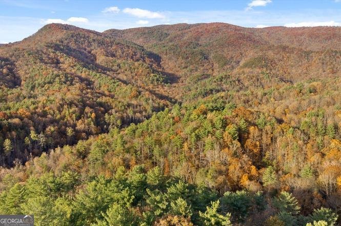 180 Cohutta Forest Road Ellijay - Photo 48