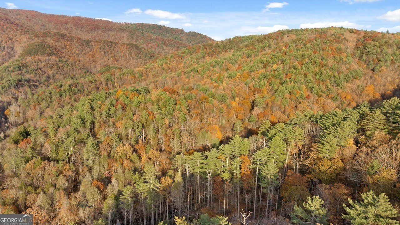 180 Cohutta Forest Road Ellijay - Photo 49