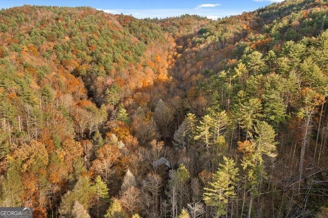 180 Cohutta Forest Road Ellijay - Photo 50