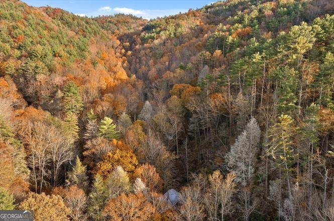 180 Cohutta Forest Road Ellijay - Photo 51