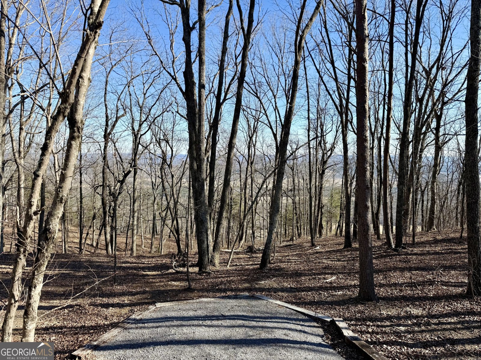 41 SKYVIEW DRIVE Menlo - Photo 36