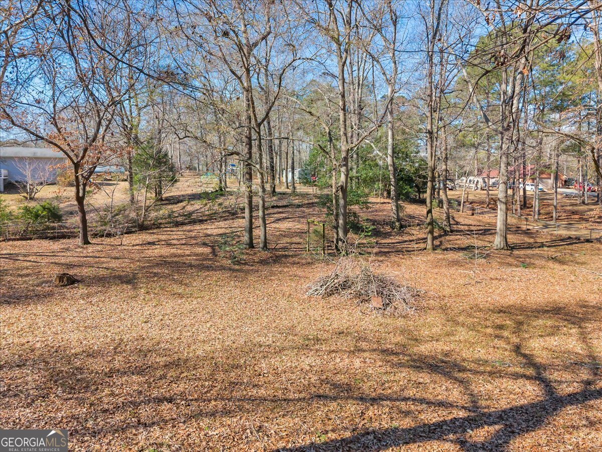 416 Moseley Road Byron - Photo 47