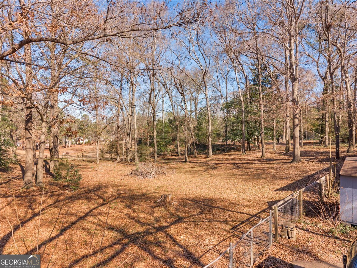 416 Moseley Road Byron - Photo 54