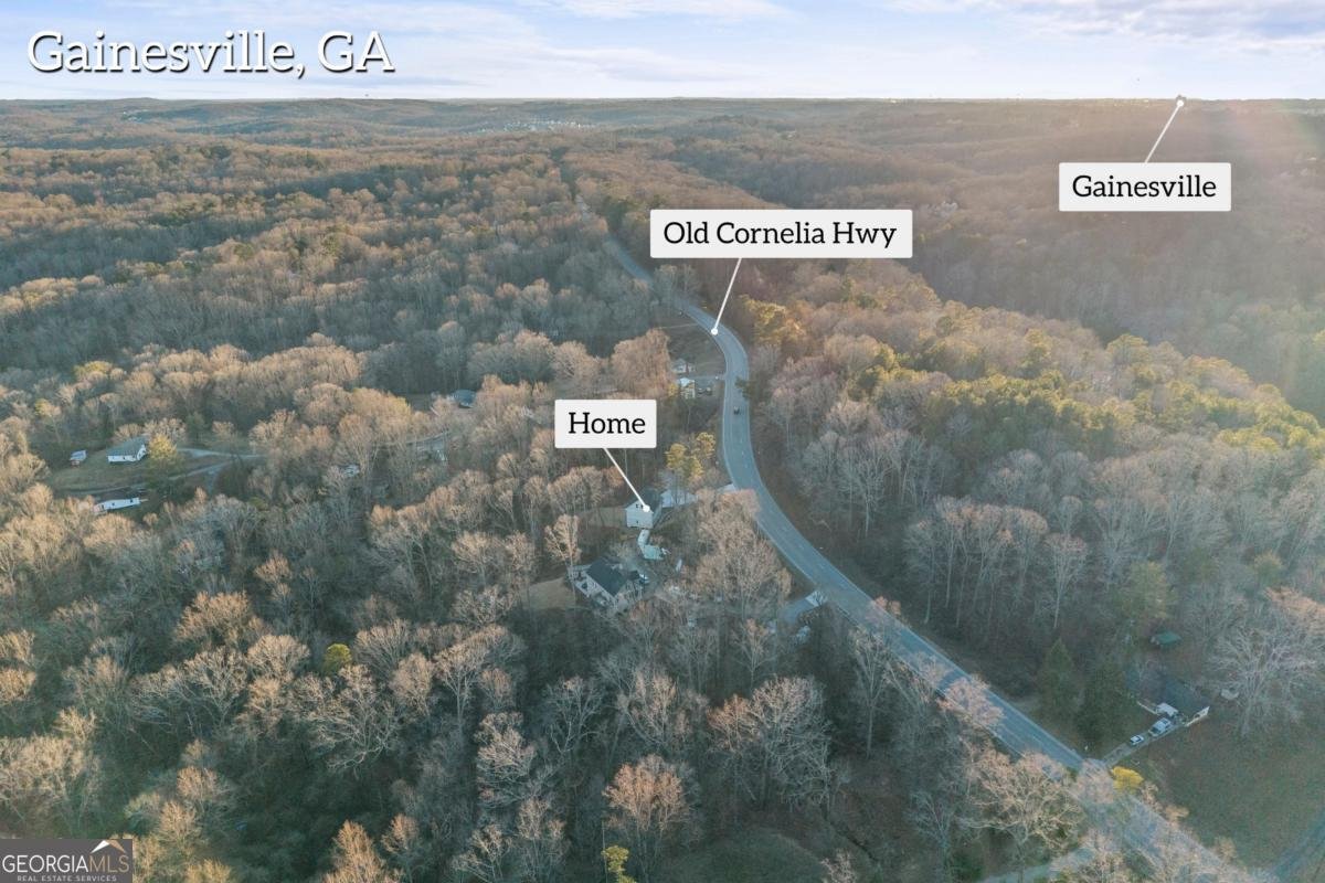 3114 Old Cornelia Highway Gainesville - Photo 84