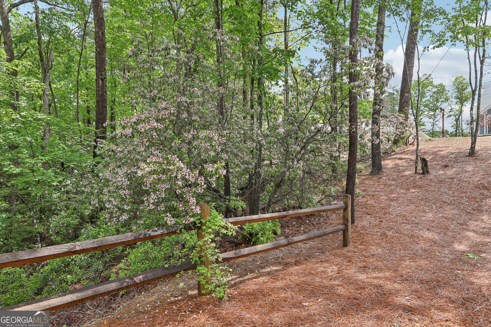 33 Cedar Summit Marble Hill - Photo 39