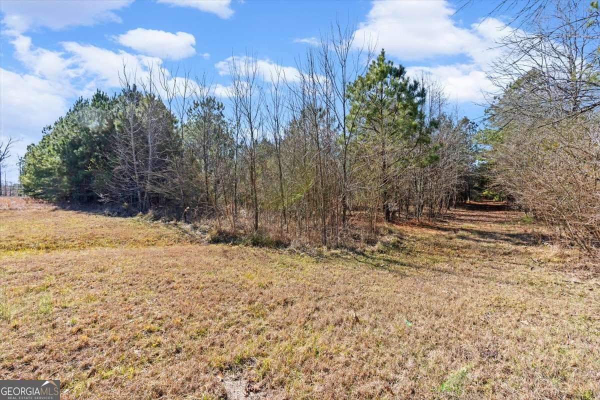 100 Avery Road Rome - Photo 37