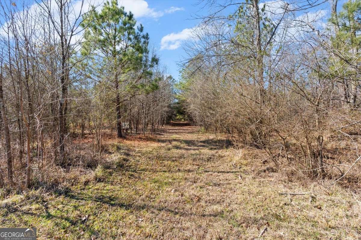 100 Avery Road Rome - Photo 40