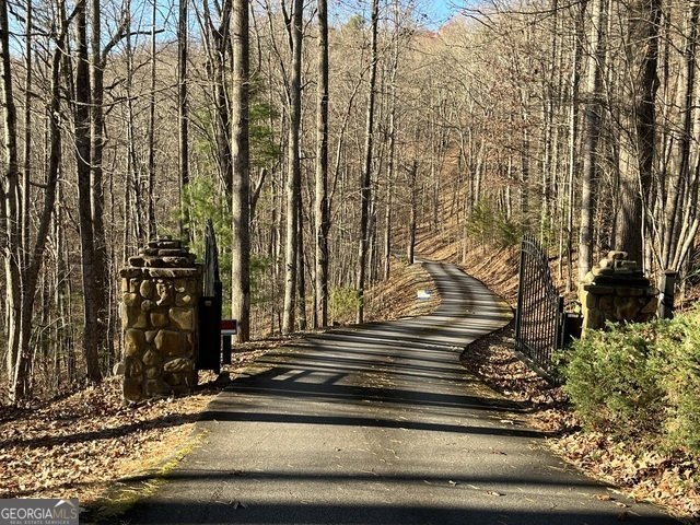 0 Forest Canopy Way Clayton - Photo 10