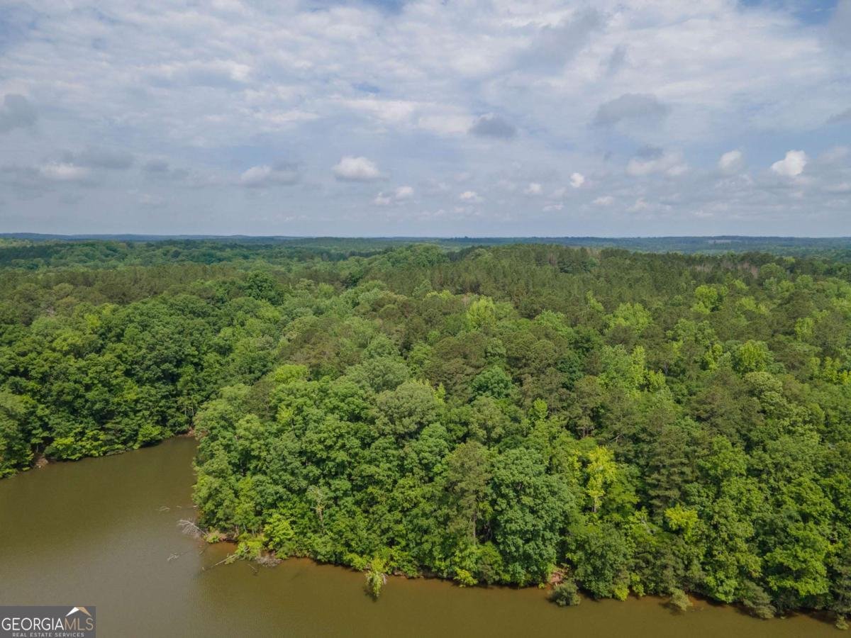 280 Wolf Creek Cove Lagrange - Photo 35