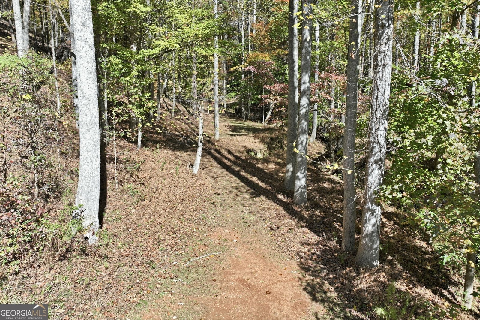 4779 Shirley Road Gainesville - Photo 24