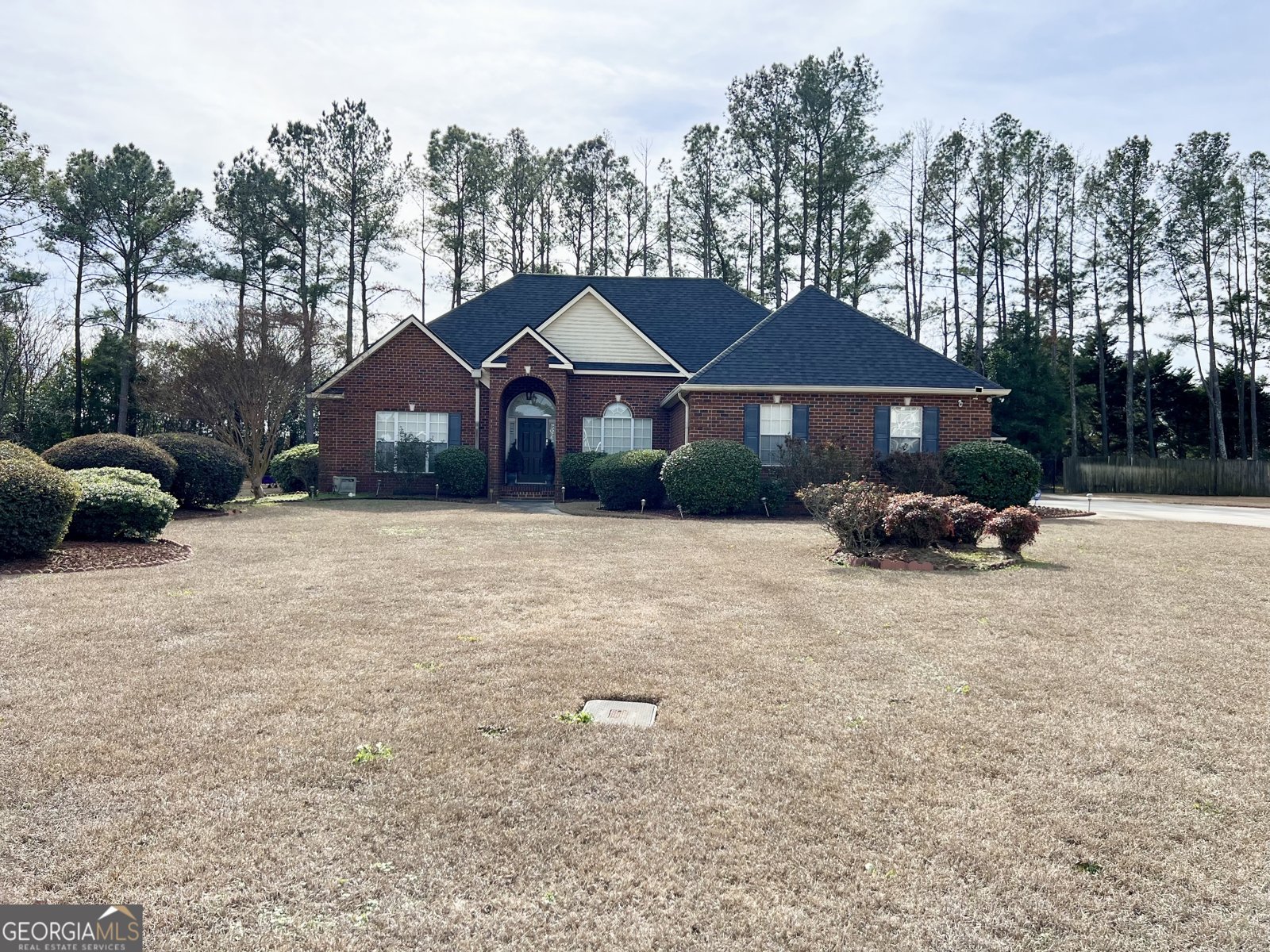 111 Ellice Court Warner Robins - Photo 1