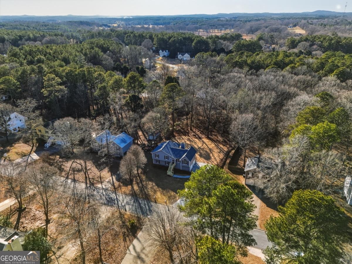 615 Amberwood Place Euharlee - Photo 39