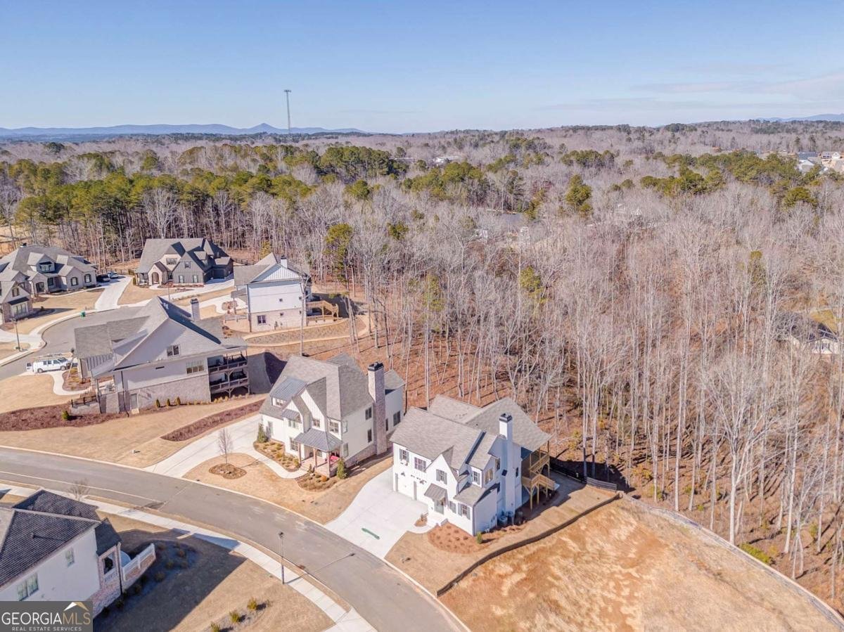 323 Reese Way Ball Ground - Photo 45