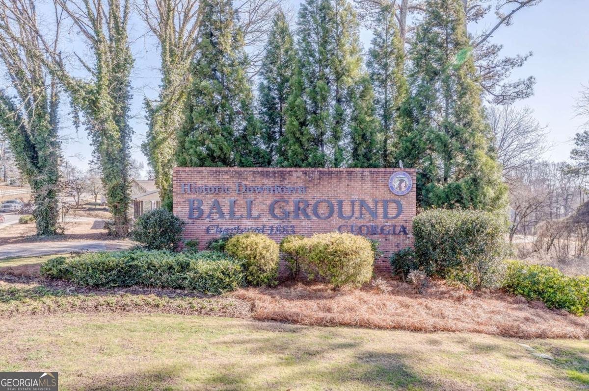 323 Reese Way Ball Ground - Photo 48