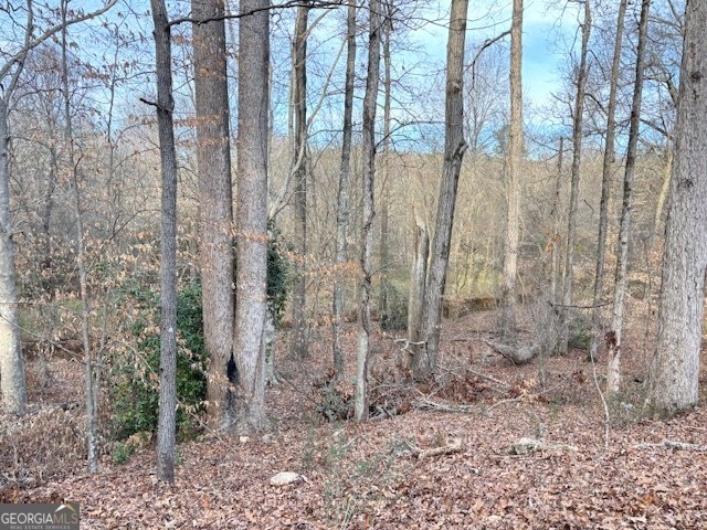 235 Riverbend Drive Covington - Photo 17