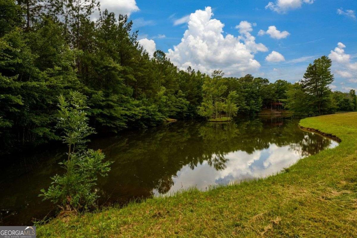 4955 H D Atha Road Covington - Photo 61