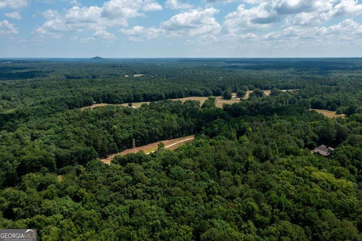 4955 H D Atha Road Covington - Photo 75