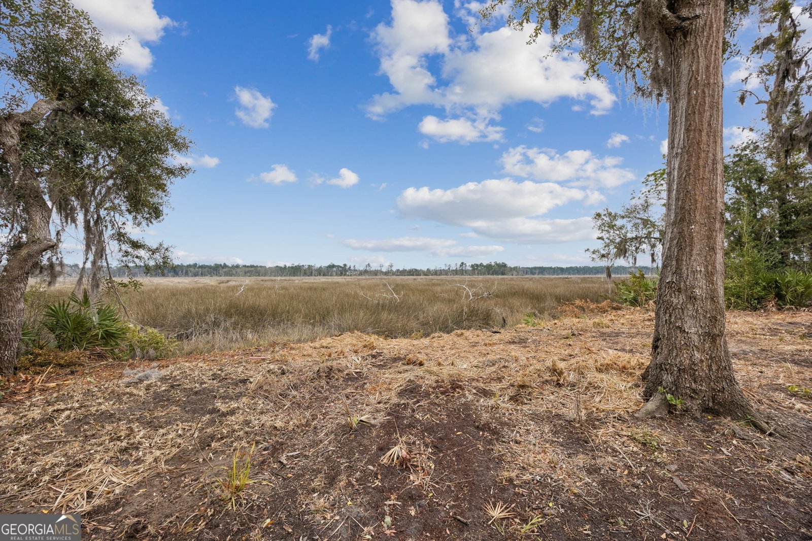 200 Carrington Court Kingsland - Photo 59