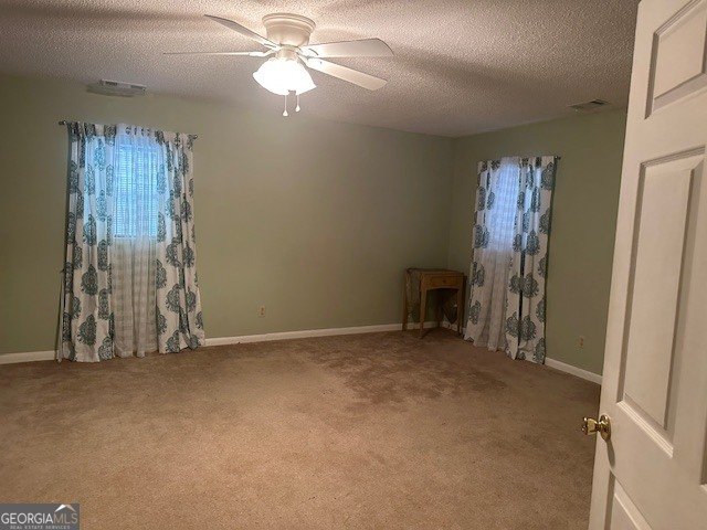 3417 Horizons Bend Portal - Photo 31