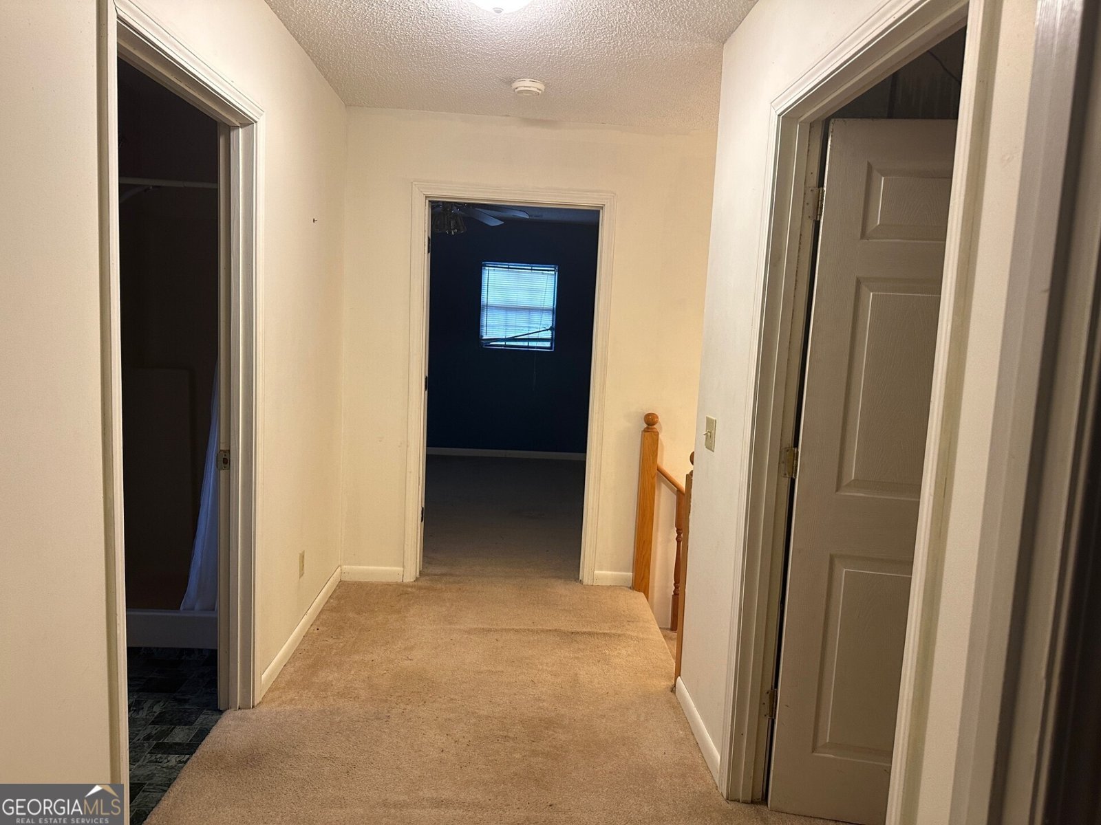 3417 Horizons Bend Portal - Photo 44