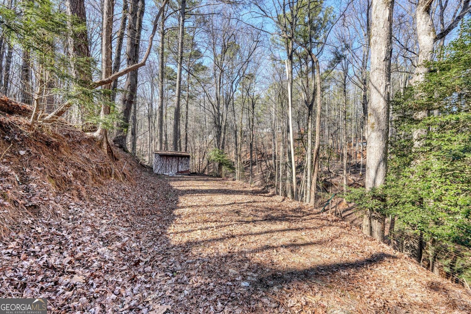 29 34th Street Ellijay - Photo 34