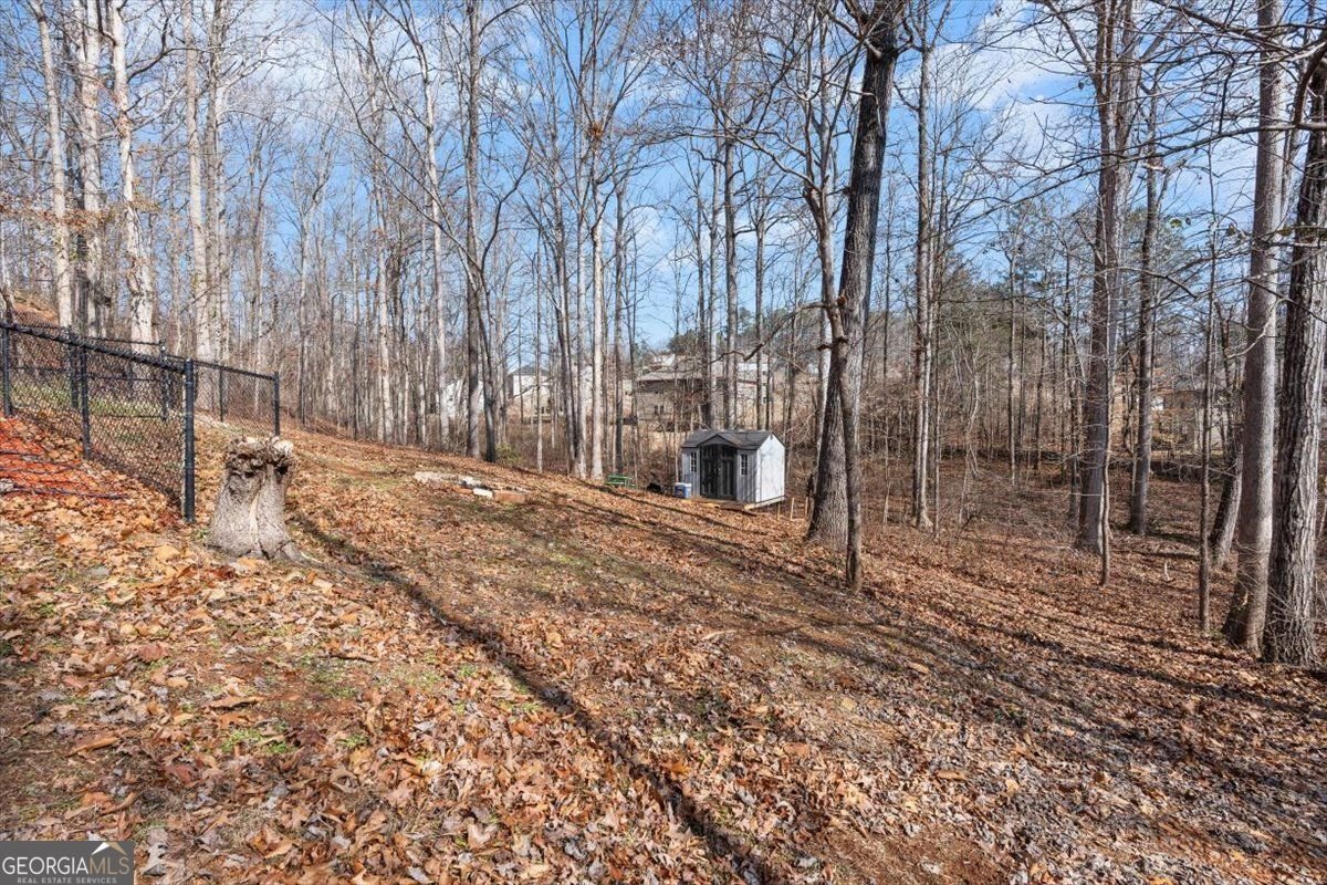 160 Amidon Drive Villa Rica - Photo 48