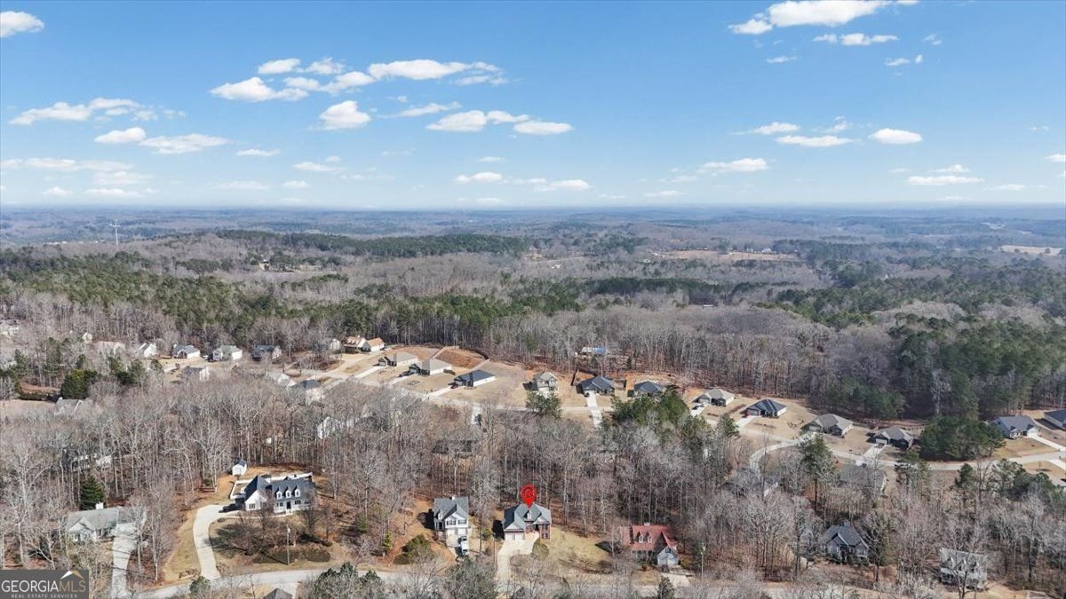 160 Amidon Drive Villa Rica - Photo 52