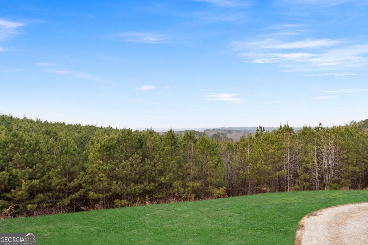 610 Cedar Creek Road Cartersville - Photo 61