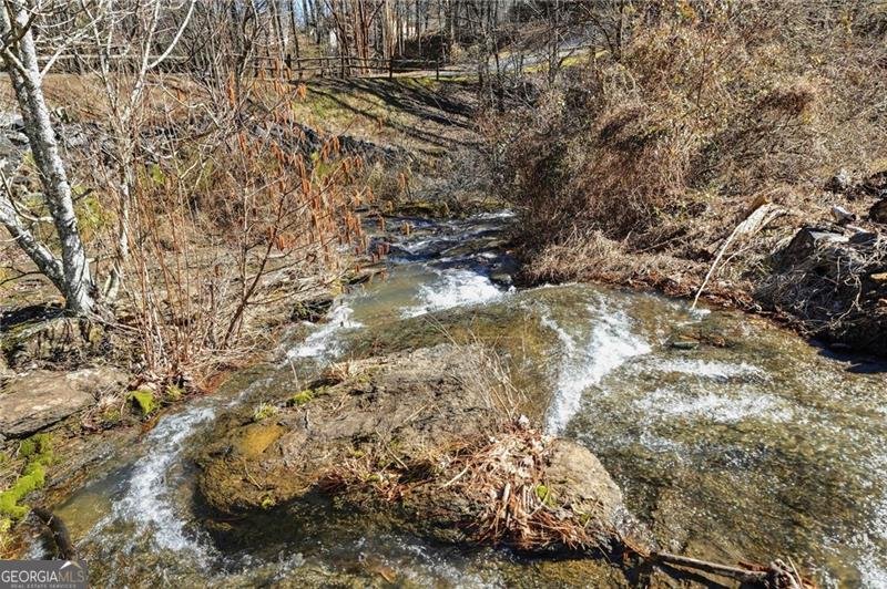 503 Falls Way Woodstock - Photo 61