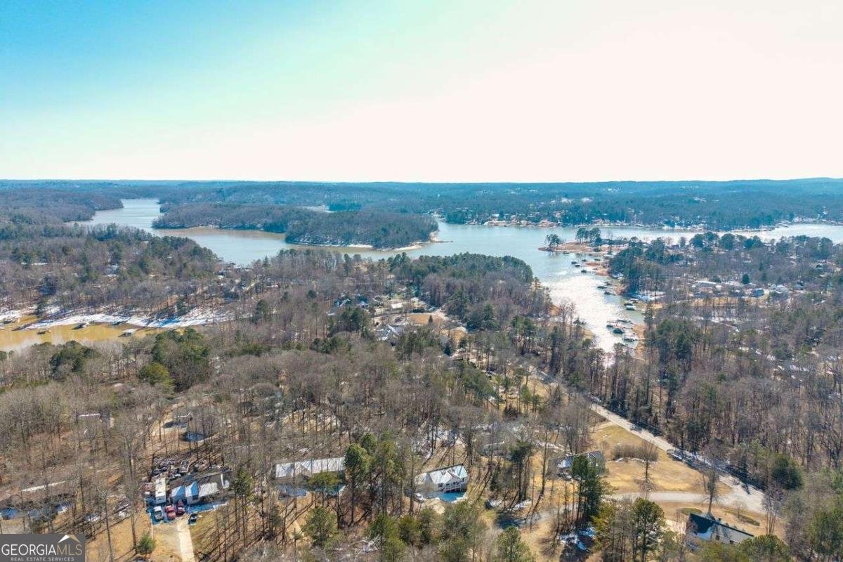 295 Rainey Drive Dawsonville - Photo 42