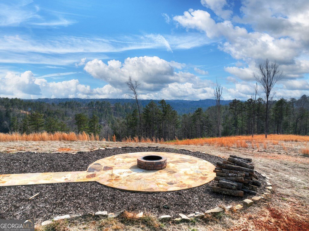 28 Mountaintown Overlook Ellijay - Photo 41