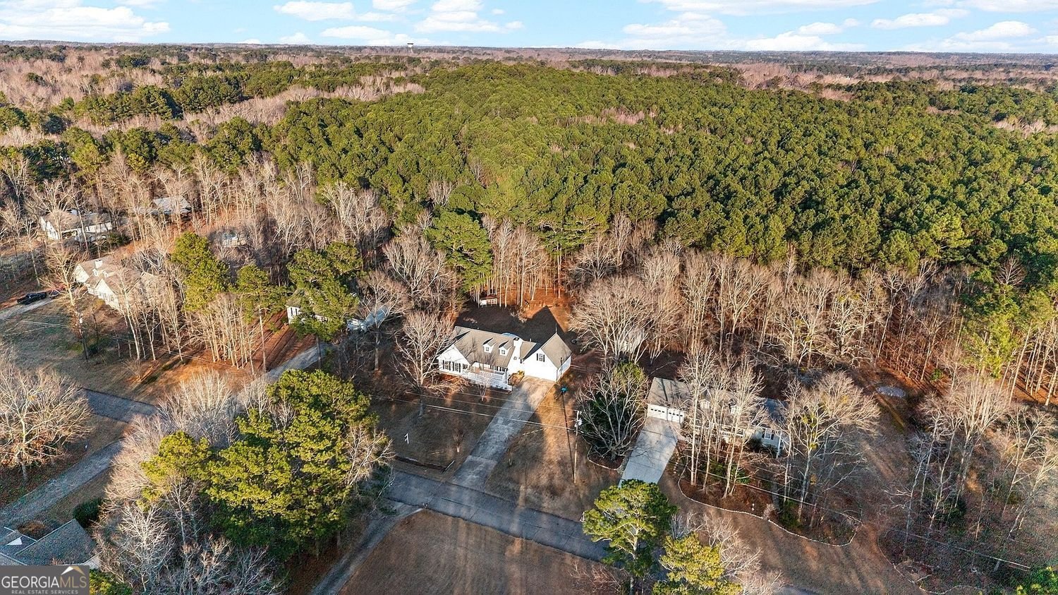 290 Laney Court McDonough - Photo 51