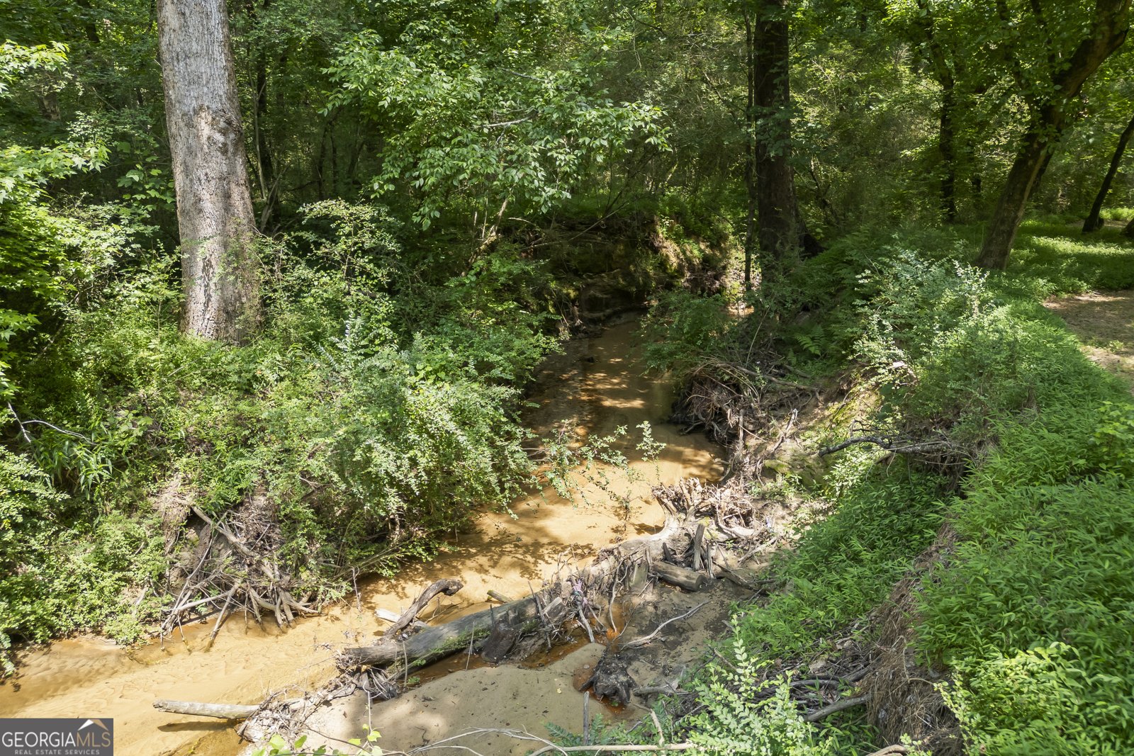 3651 Chandler Haulk Road Loganville - Photo 12