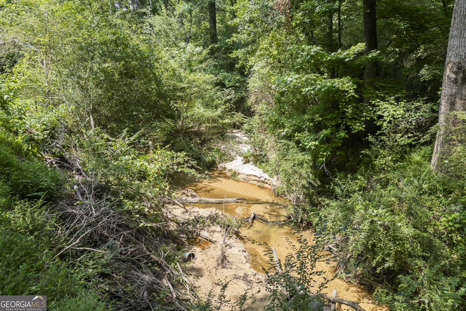 3651 Chandler Haulk Road Loganville - Photo 15