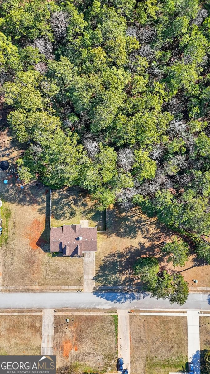 225 Oak Hill Drive Covington - Photo 36