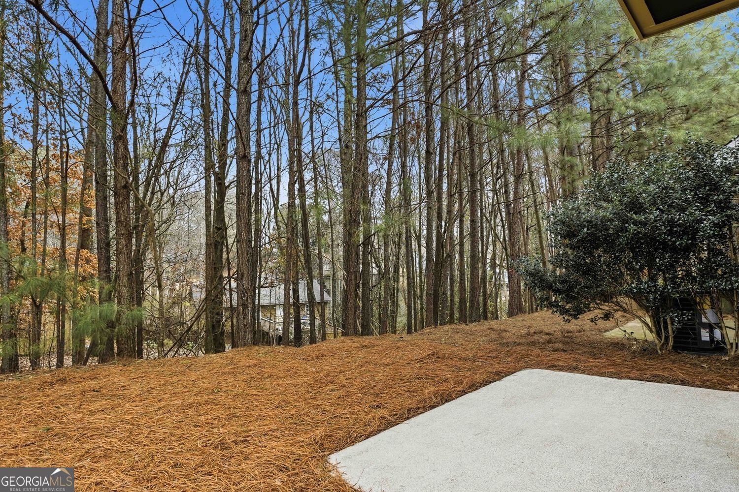 501 Ridge View Crossing Woodstock - Photo 38
