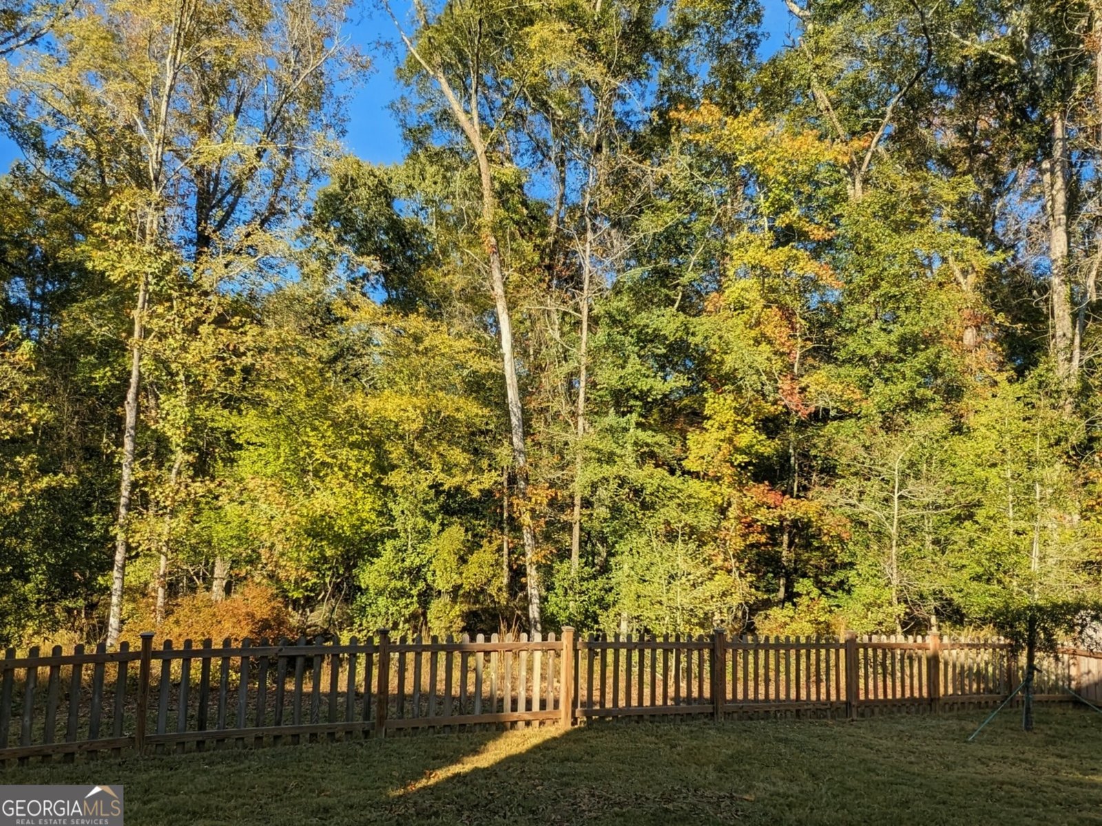 13768 Whitman Lane Covington - Photo 38