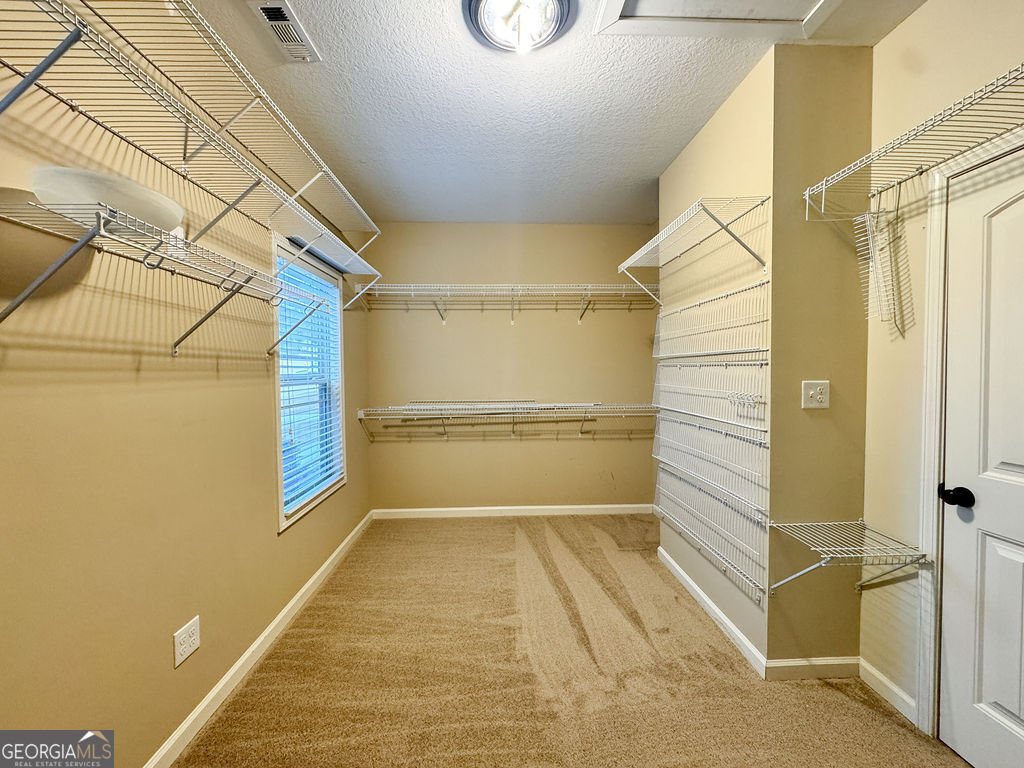 170 Fire Creek Trail Senoia - Photo 30