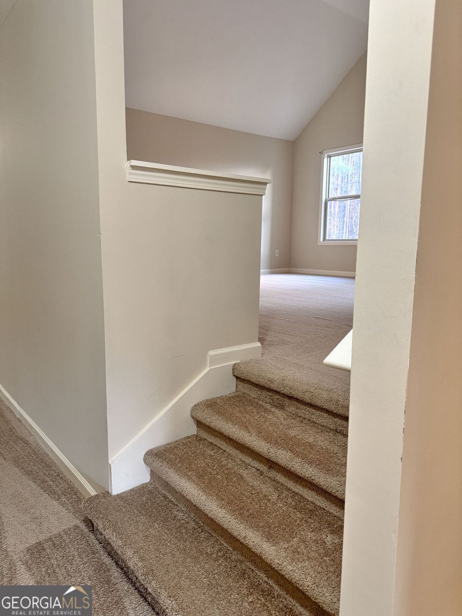 170 Fire Creek Trail Senoia - Photo 43