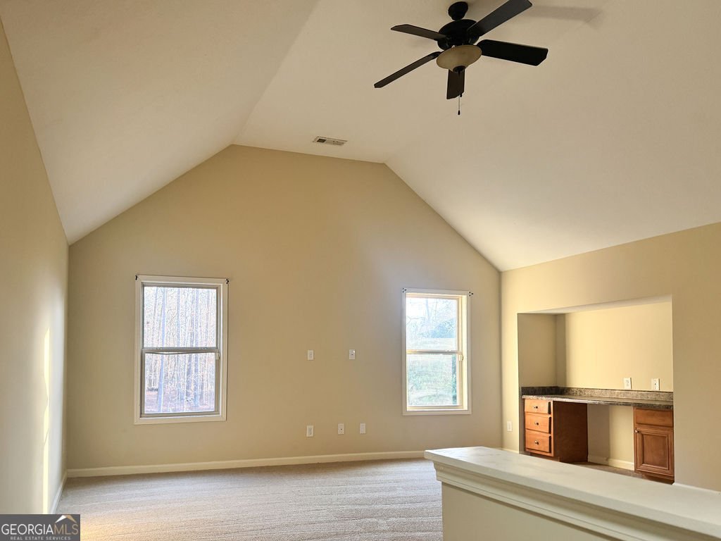 170 Fire Creek Trail Senoia - Photo 44