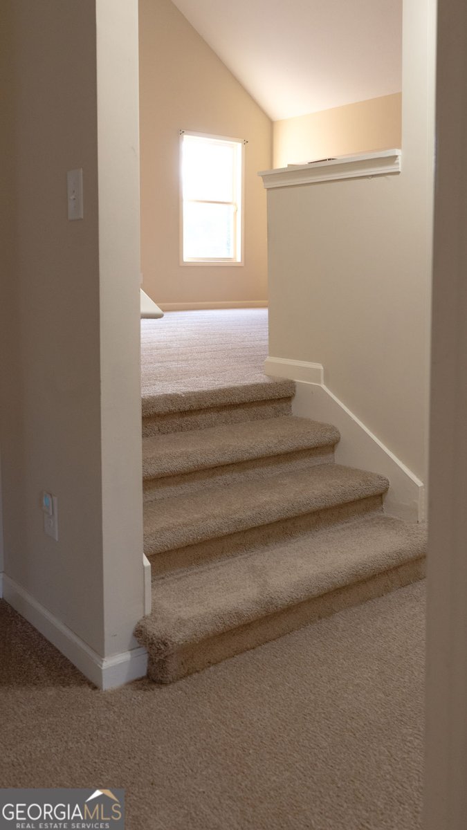 170 Fire Creek Trail Senoia - Photo 47