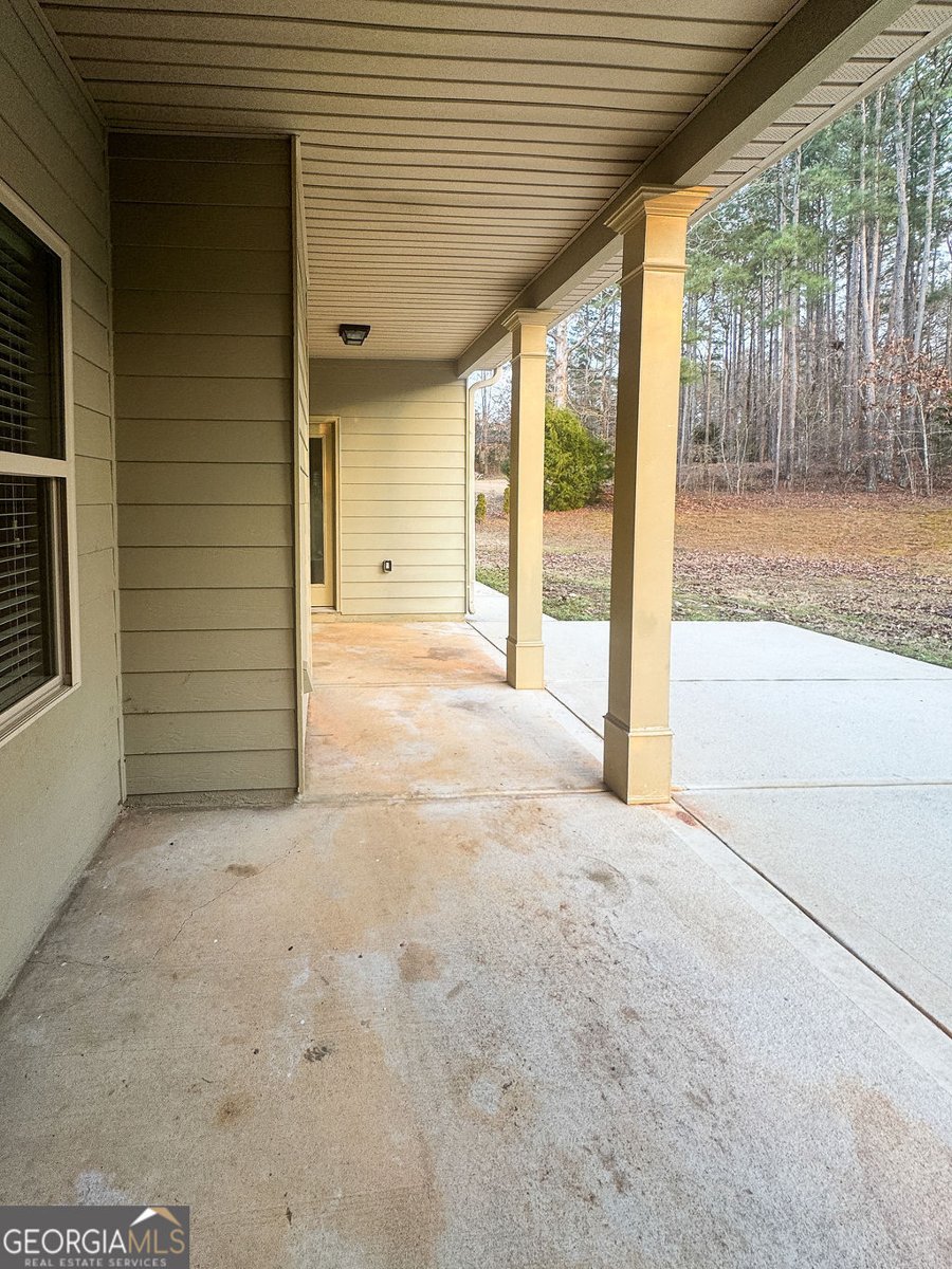 170 Fire Creek Trail Senoia - Photo 56