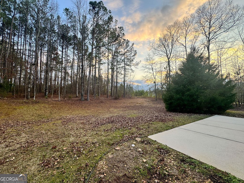 170 Fire Creek Trail Senoia - Photo 59