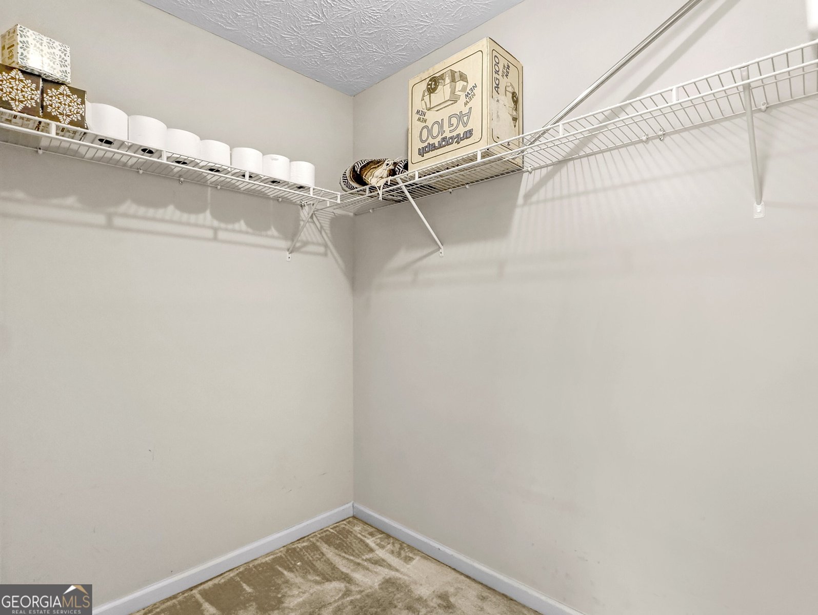 1126 Strath Clyde Way McDonough - Photo 25