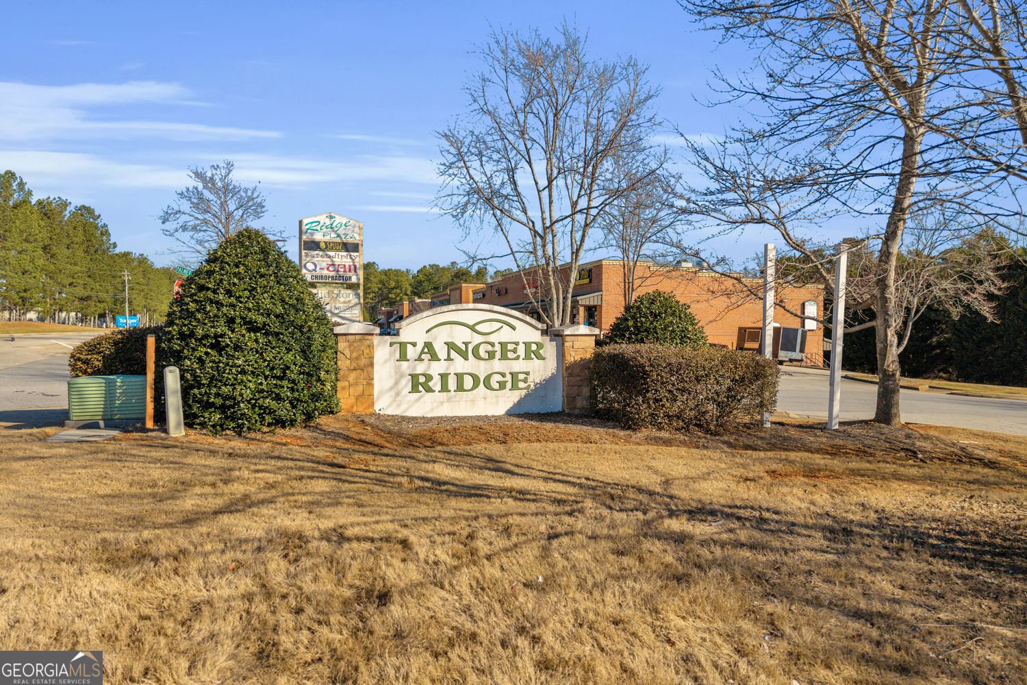 433 Pearl Street Locust Grove - Photo 45