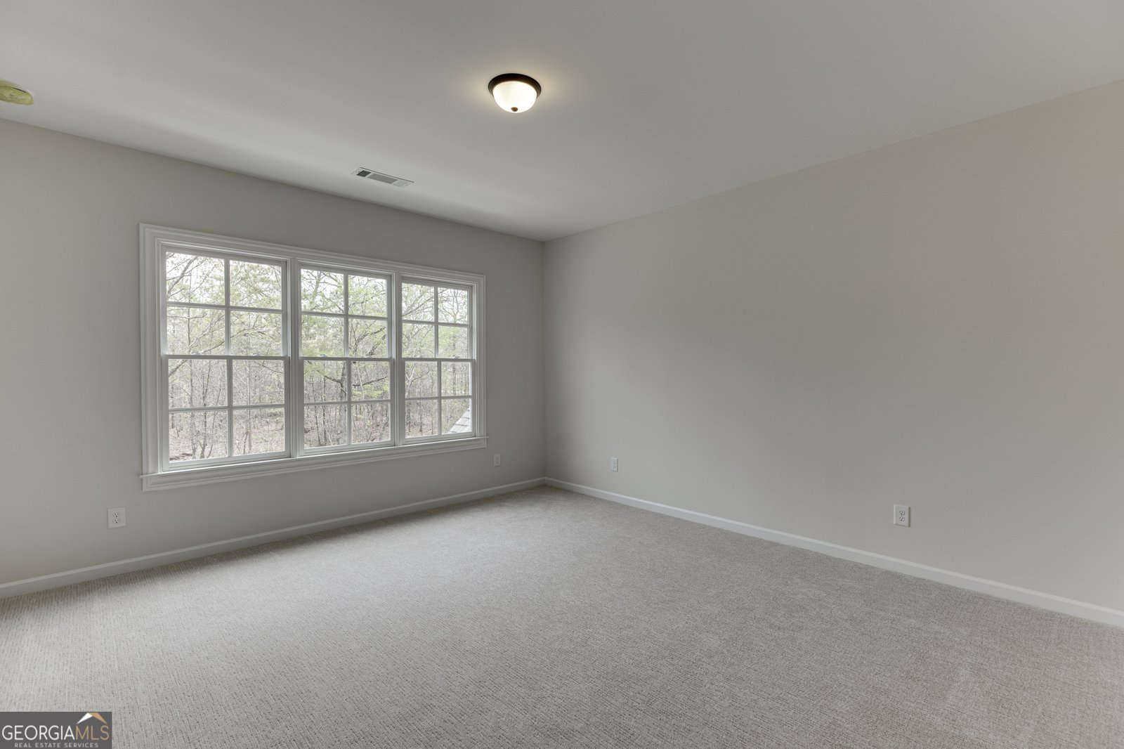 8135 Heardsville Court Cumming - Photo 49