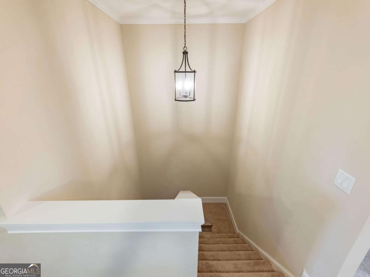 2455 Red Wine Oak Drive Braselton - Photo 43