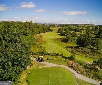 4505 Hedgewood Drive Cumming - Photo 95